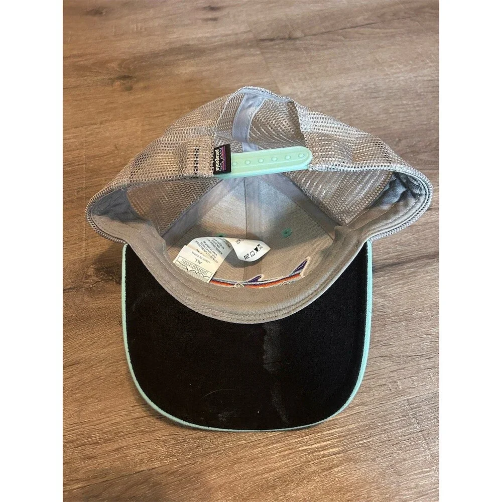 Patagonia Fitz Roy Trout Trucker Hat Mens One Size Mint Green Gray